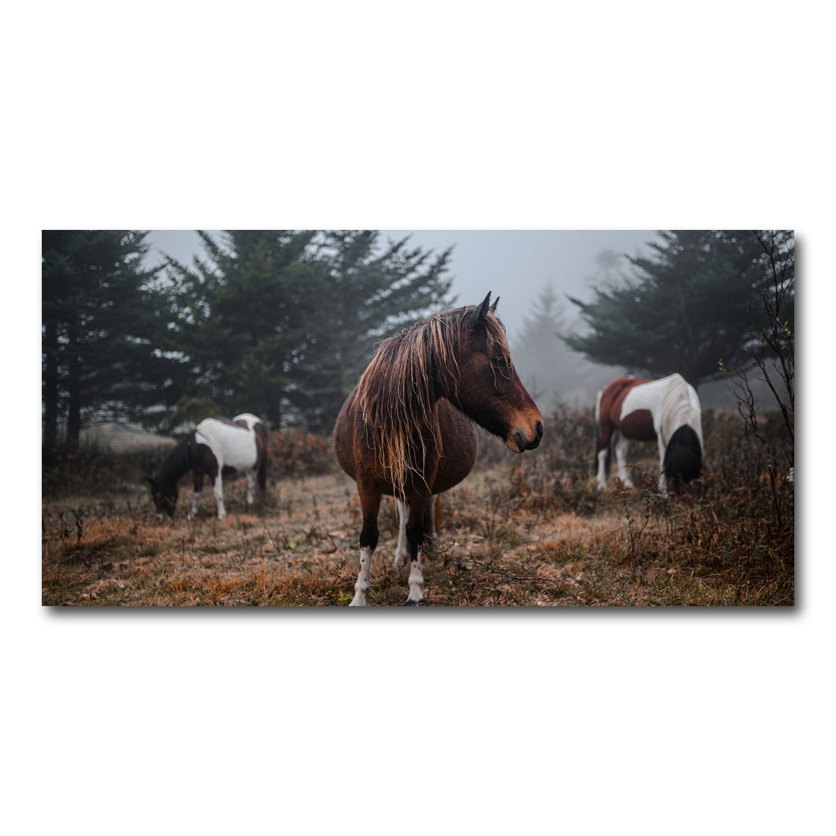 AUTO-MOCKUP WHITE | In the Wild | 1 Piece | Gallery Wrap Canvas | group=2x1