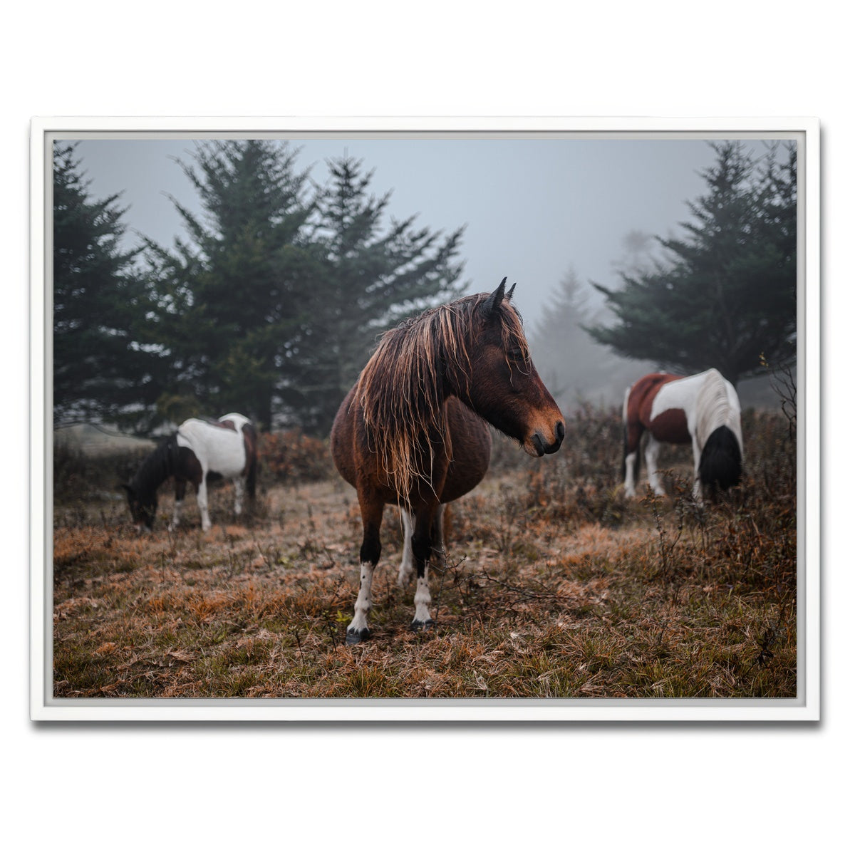 AUTO-MOCKUP WHITE | In the Wild | 1 Piece | White Framed Canvas | group=4x3