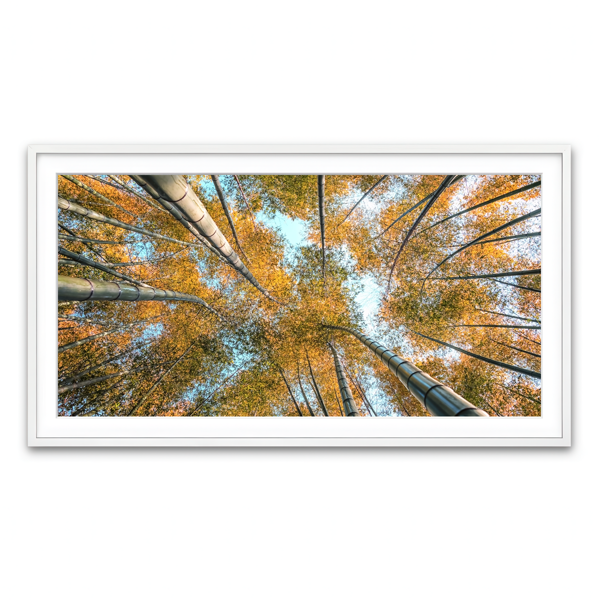 Framed Print 2x1 White