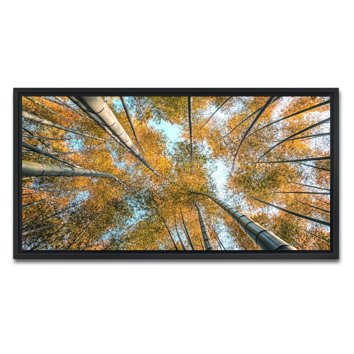 AUTO-MOCKUP WHITE | Into The Grove | 1 Piece | Black Framed Canvas | group=2x1