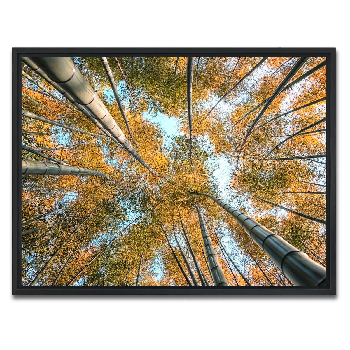 AUTO-MOCKUP WHITE | Into The Grove | 1 Piece | Black Framed Canvas | group=4x3