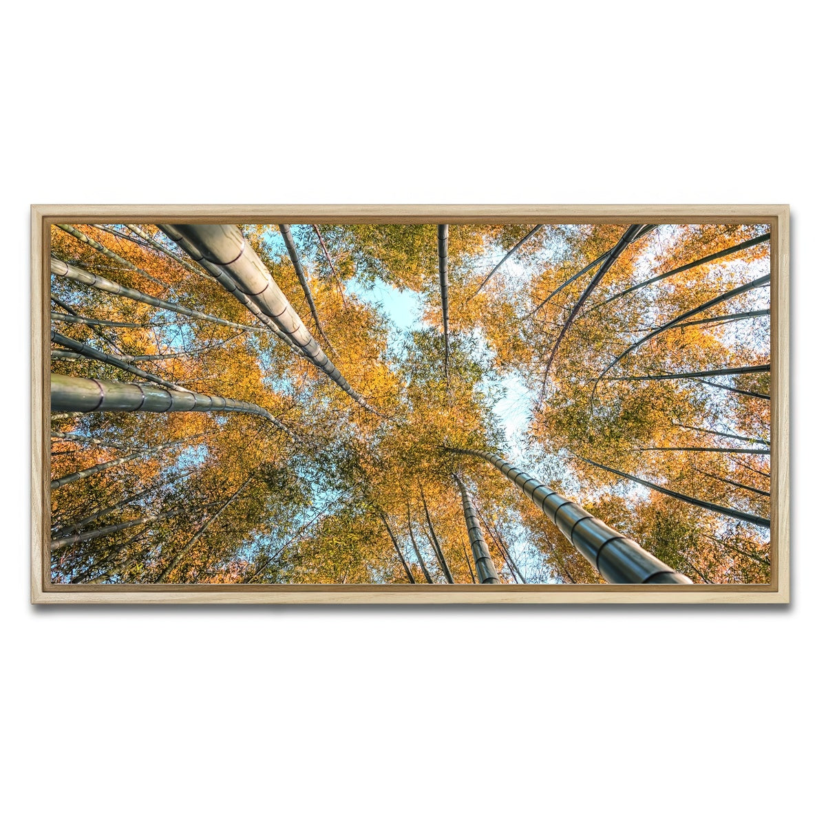 AUTO-MOCKUP WHITE | Into The Grove | 1 Piece | Natural Framed Canvas | group=2x1