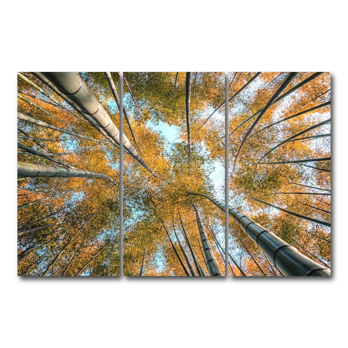 AUTO-MOCKUP WHITE | Into The Grove | 3 Piece | Gallery Wrap Canvas | group=12x24