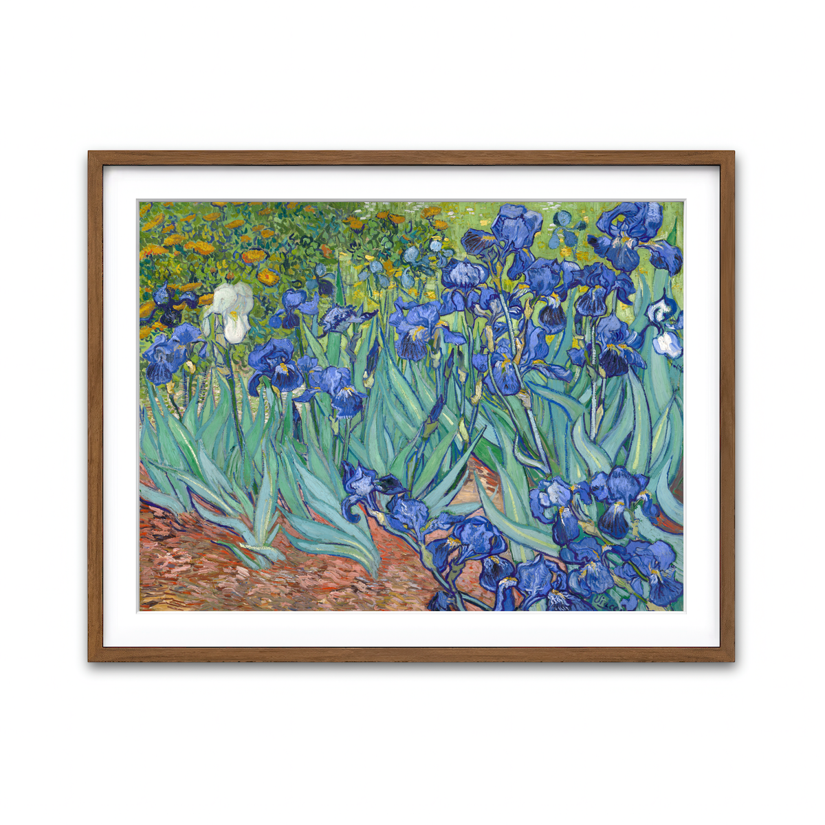 Framed Print 4x3 Walnut