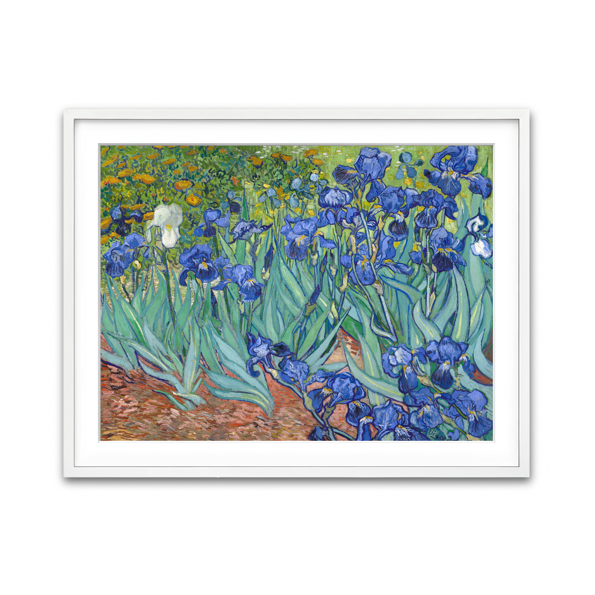 Framed Print 4x3 White