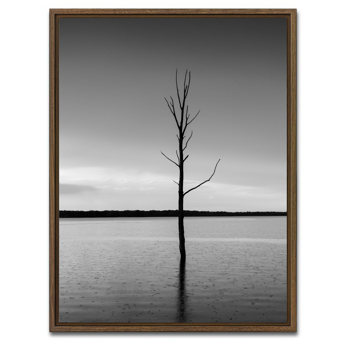 AUTO-MOCKUP WHITE | Isolated Droplets | 1 Piece | Walnut Framed Canvas | group=3x4