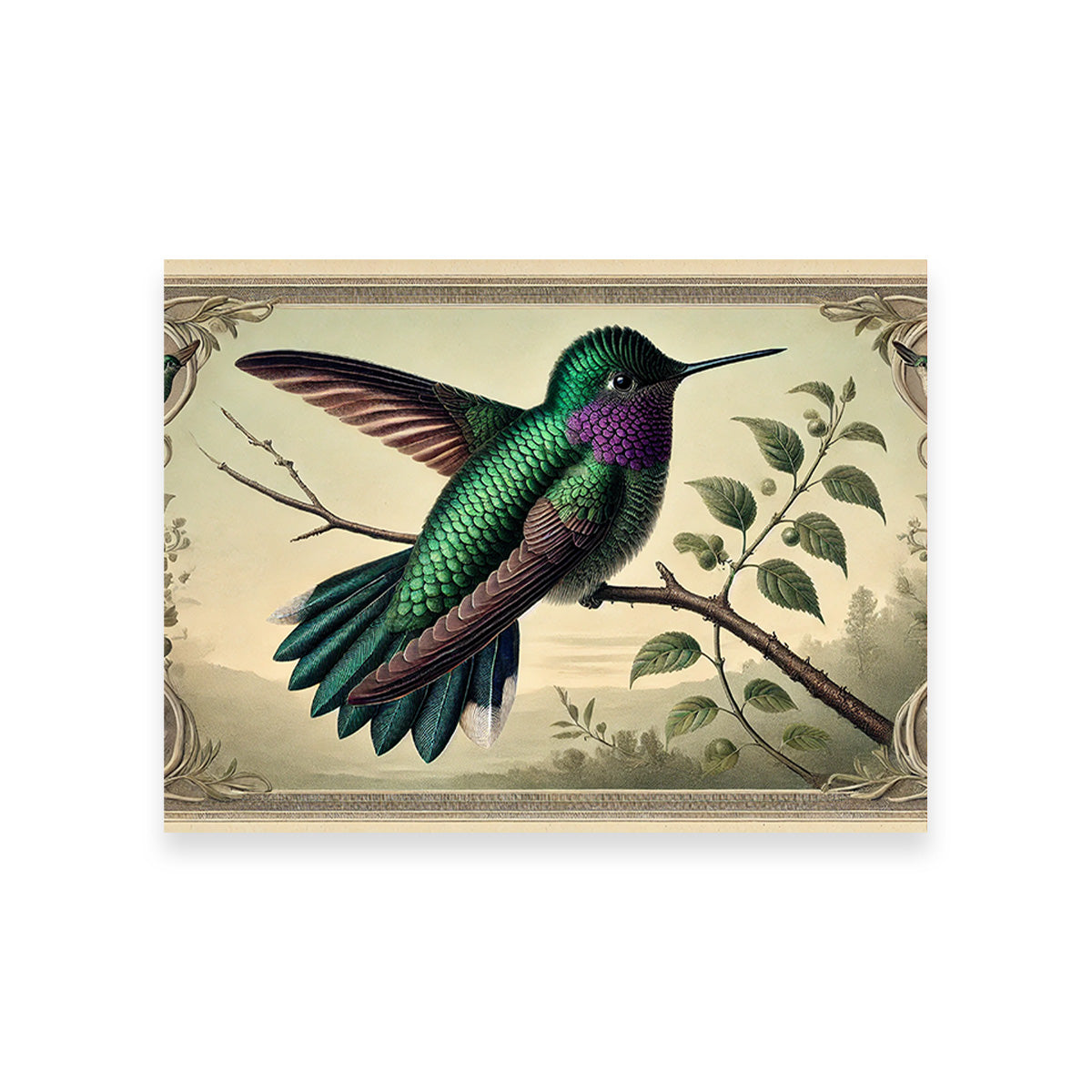 JJ Audubon's Style Hummingbird Print Wall Art