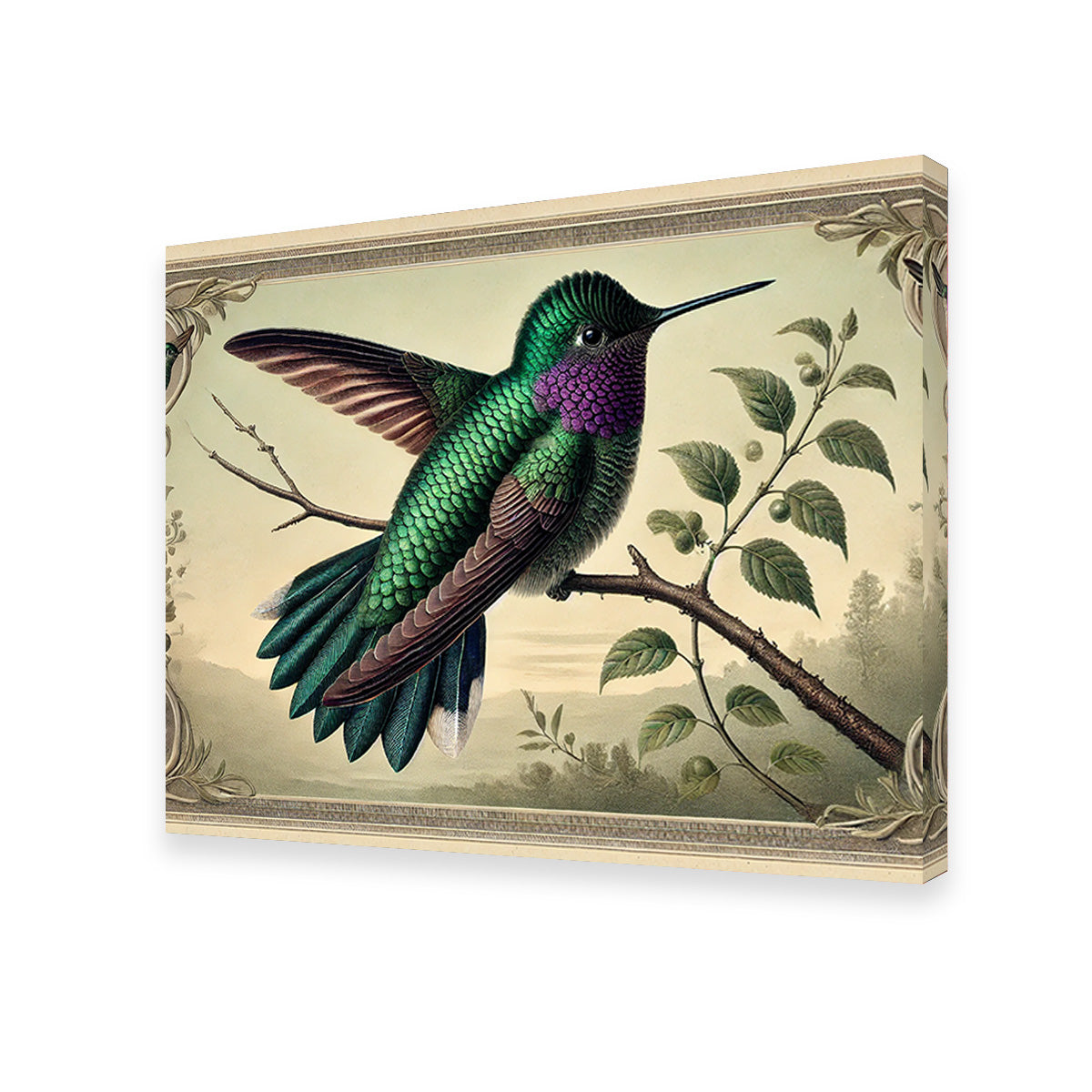 JJ Audubon's Style Hummingbird Print Wall Art