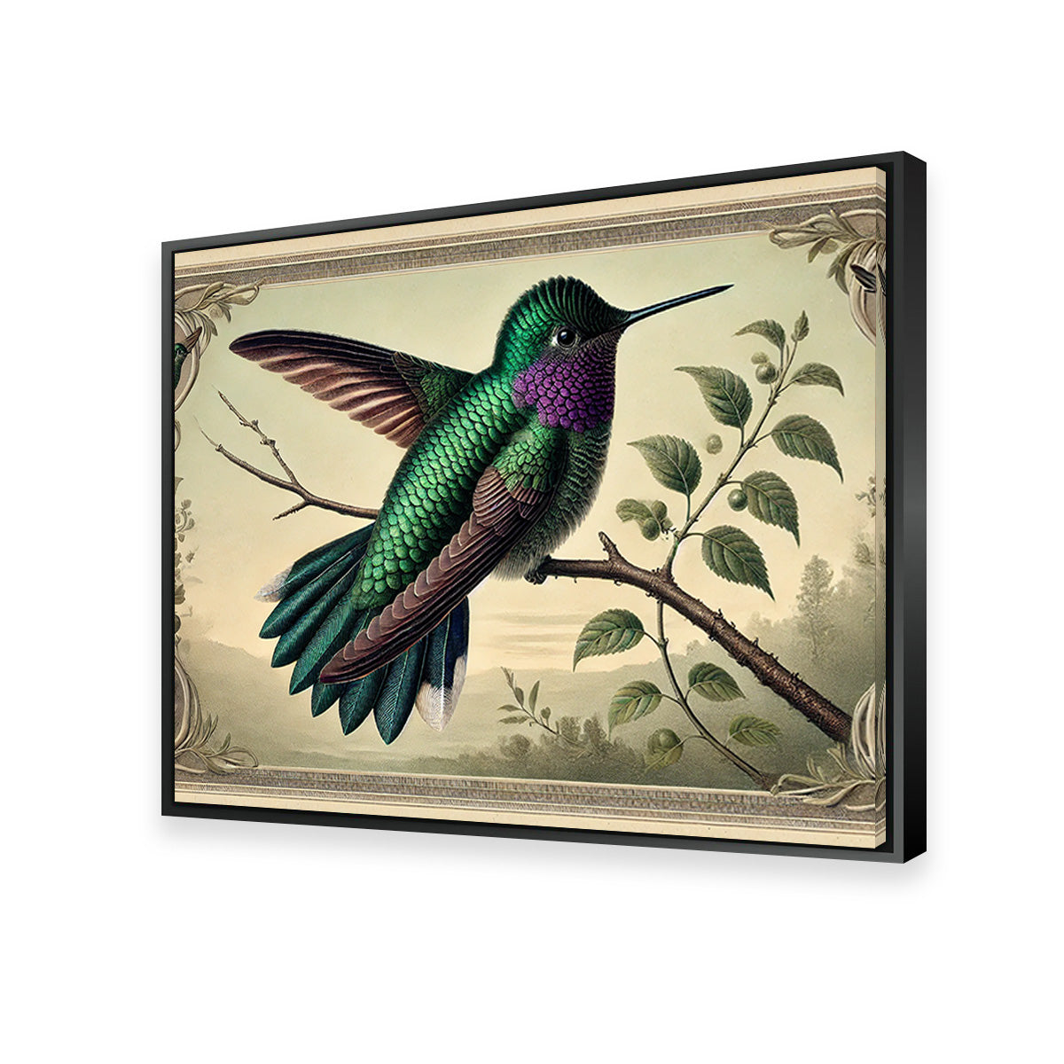JJ Audubon's Style Hummingbird Print Wall Art