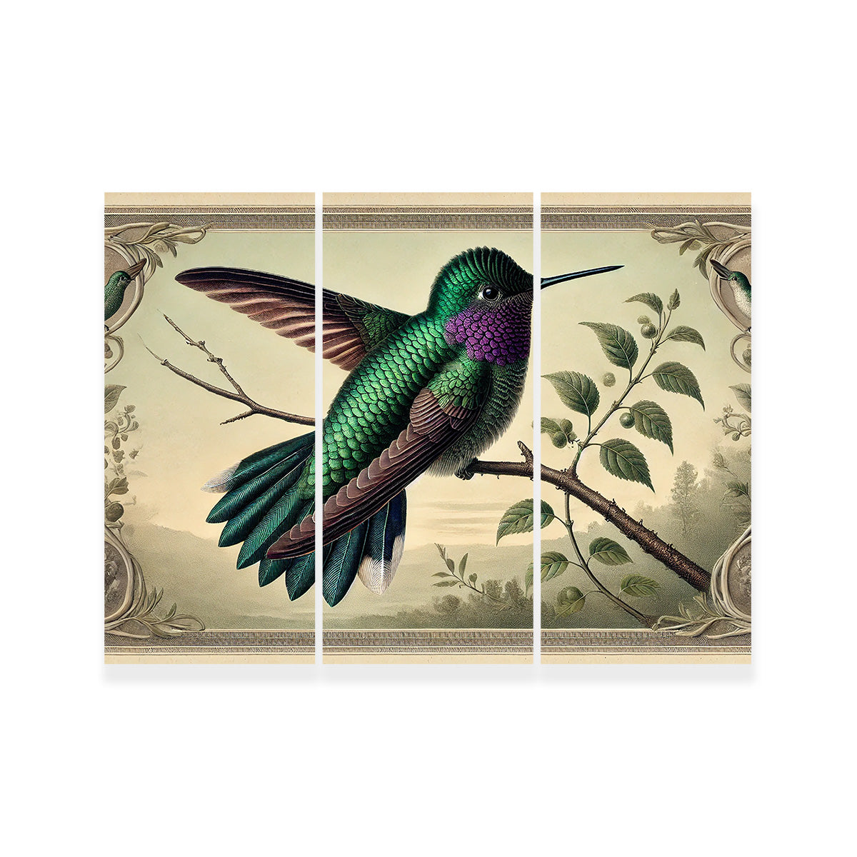JJ Audubon's Style Hummingbird Print Wall Art