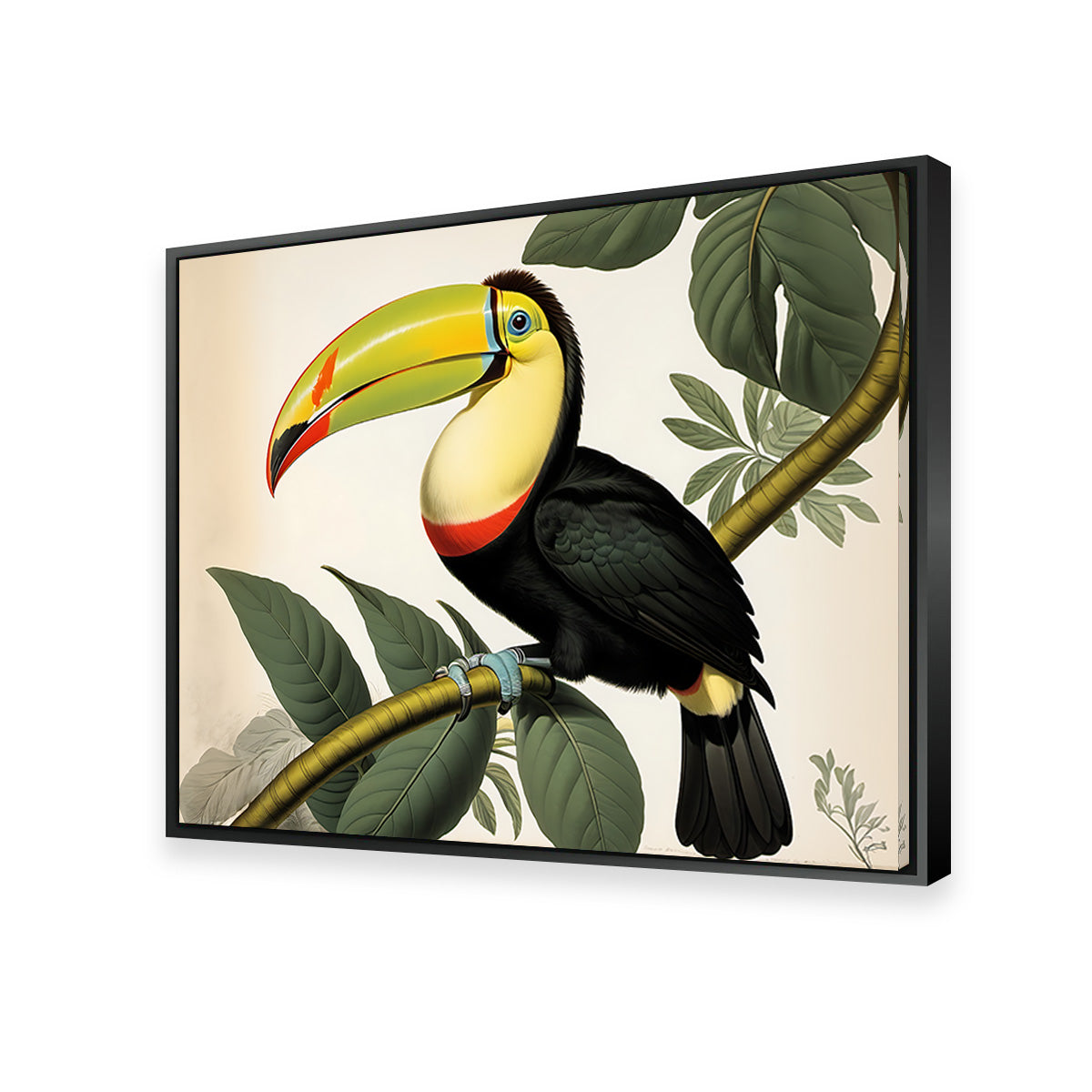 JJ Audubon's Style Keel-Billed Toucan Wall Art