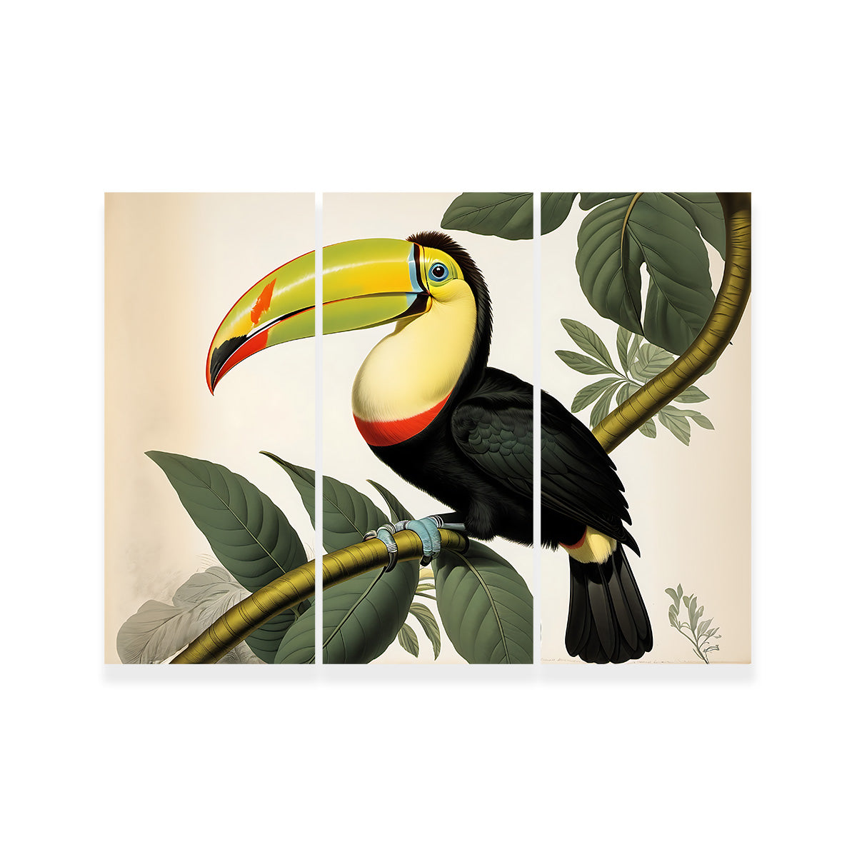 JJ Audubon's Style Keel-Billed Toucan Wall Art