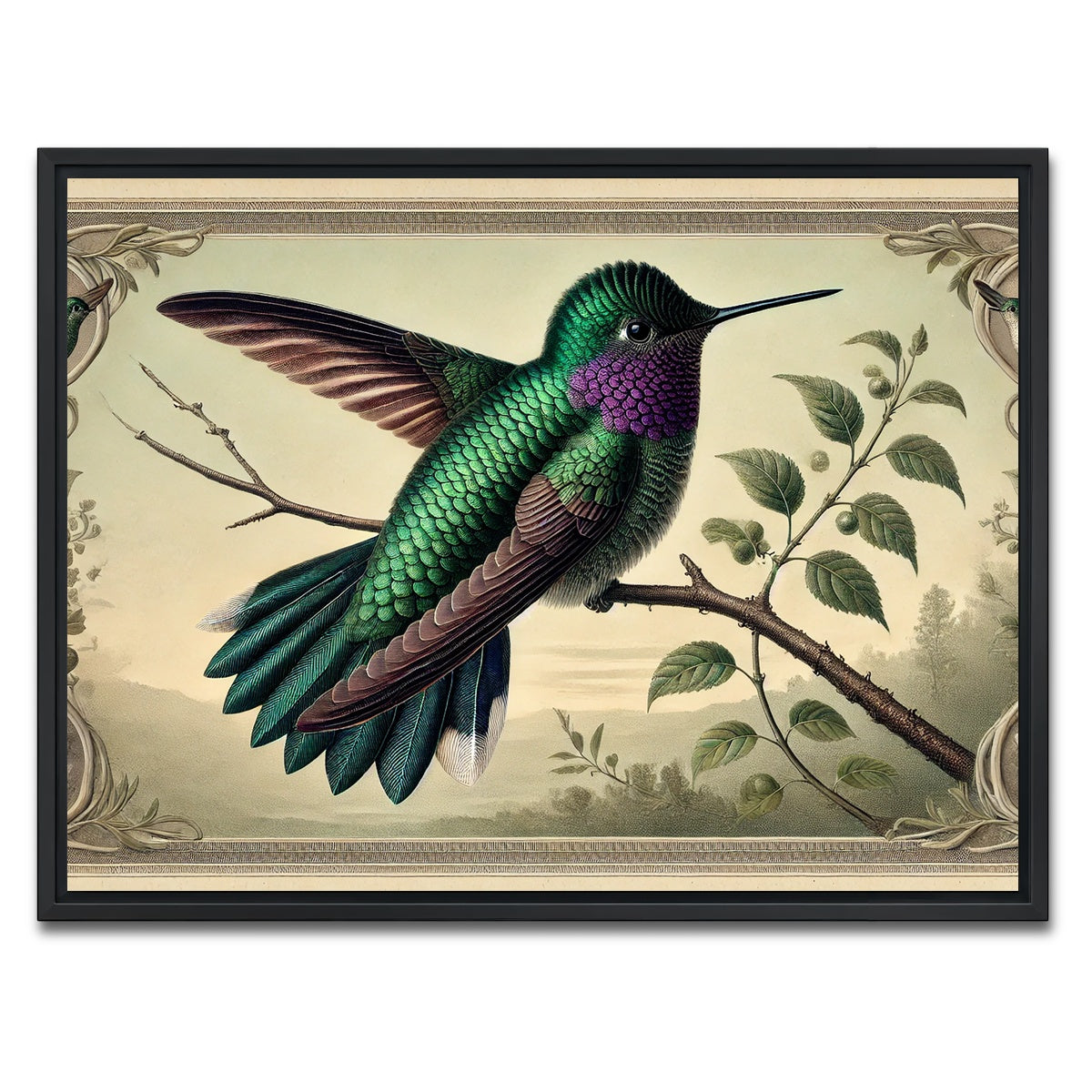 AUTO-MOCKUP WHITE | JJ Audubon's Style Hummingbird Print | 1 Piece | Black Framed Canvas | group=4x3