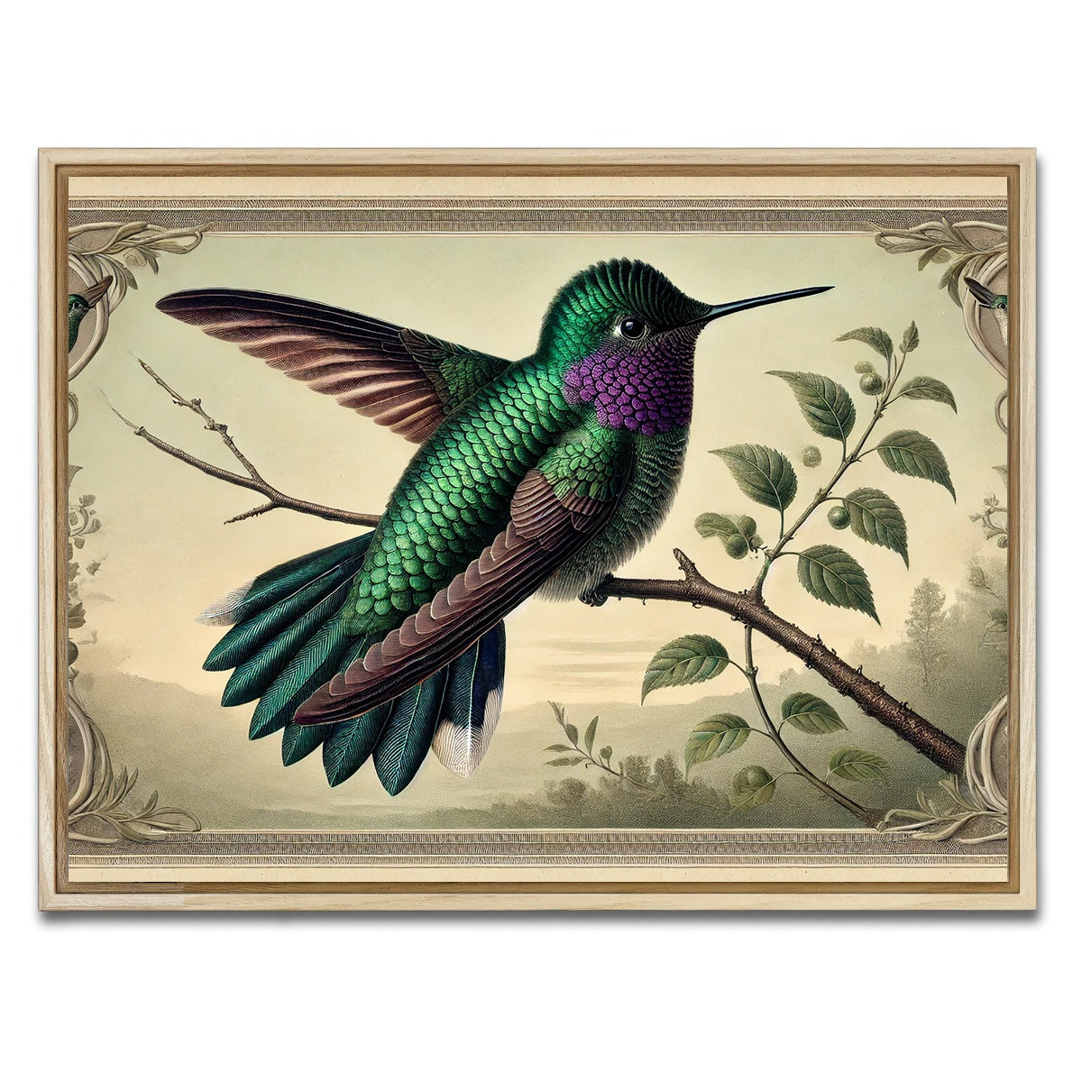 AUTO-MOCKUP WHITE | JJ Audubon's Style Hummingbird Print | 1 Piece | Natural Framed Canvas | group=4x3