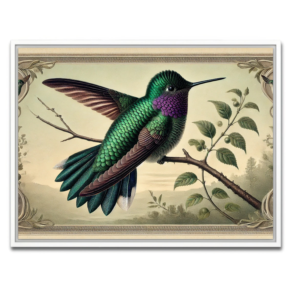 AUTO-MOCKUP WHITE | JJ Audubon's Style Hummingbird Print | 1 Piece | White Framed Canvas | group=4x3