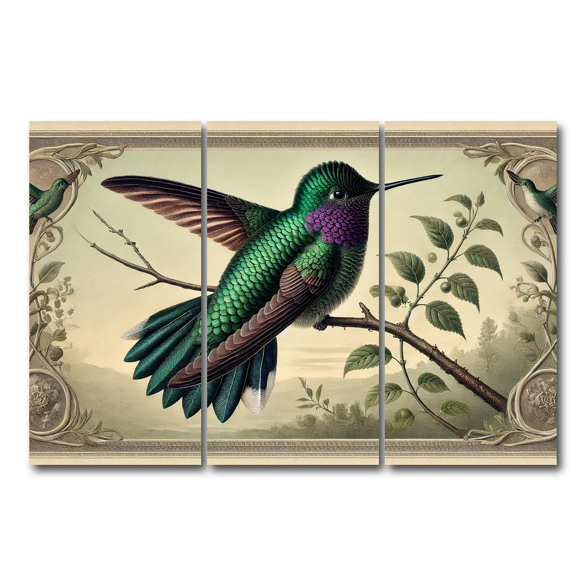 AUTO-MOCKUP WHITE | JJ Audubon's Style Hummingbird Print | 3 Piece | Gallery Wrap Canvas | group=12x24