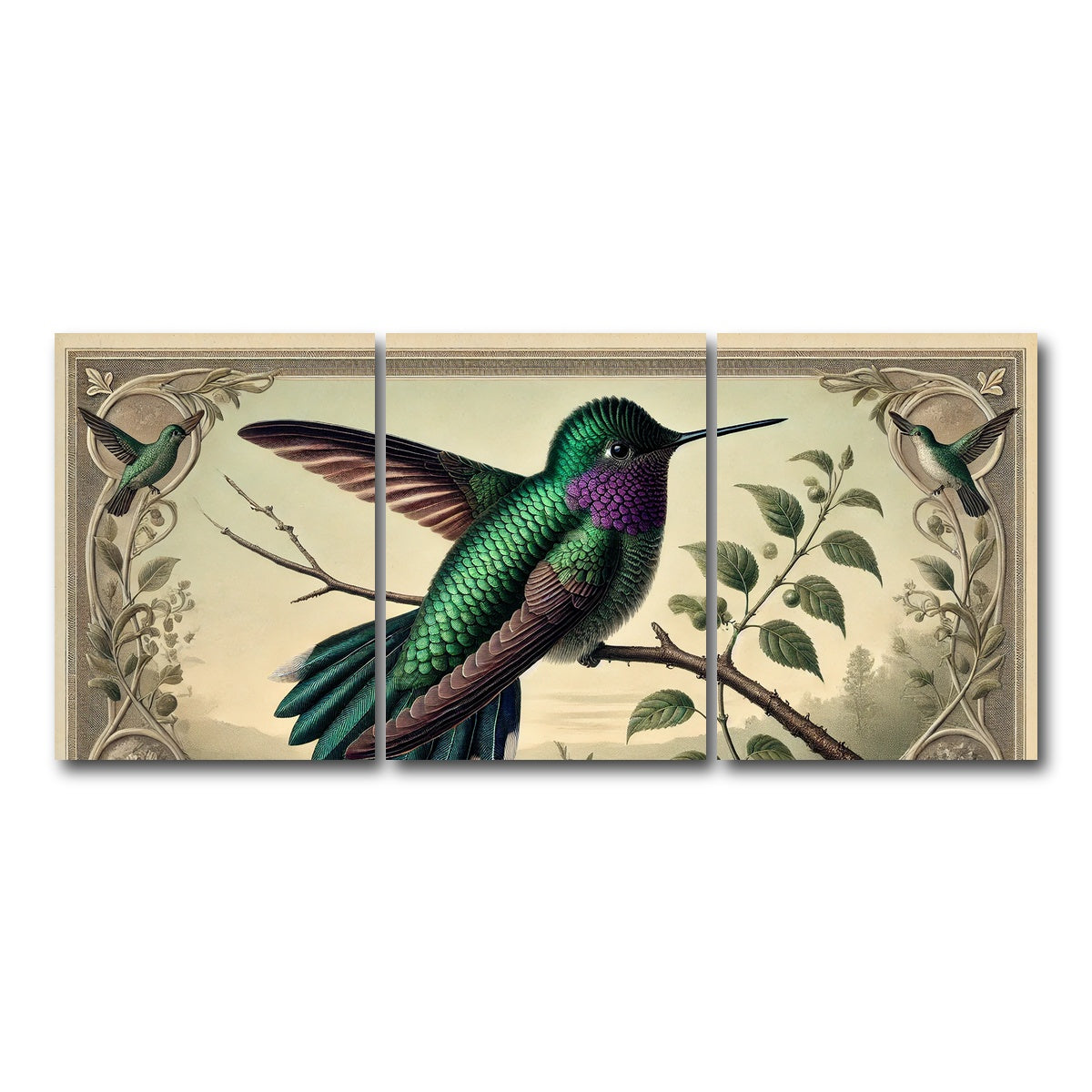 AUTO-MOCKUP WHITE | JJ Audubon's Style Hummingbird Print | 3 Piece | Gallery Wrap Canvas | group=18x24