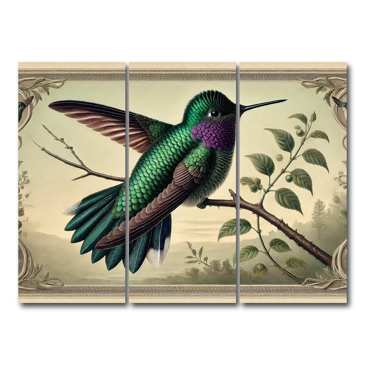 AUTO-MOCKUP WHITE | JJ Audubon's Style Hummingbird Print | 3 Piece | Gallery Wrap Canvas | group=8x18