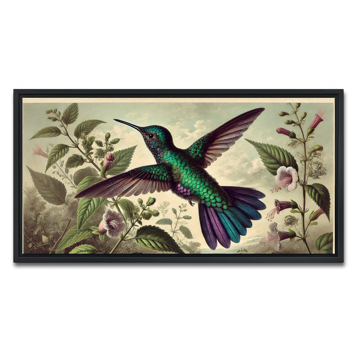 AUTO-MOCKUP WHITE | JJ Audubon's Style Hummingbird | 1 Piece | Black Framed Canvas | group=2x1