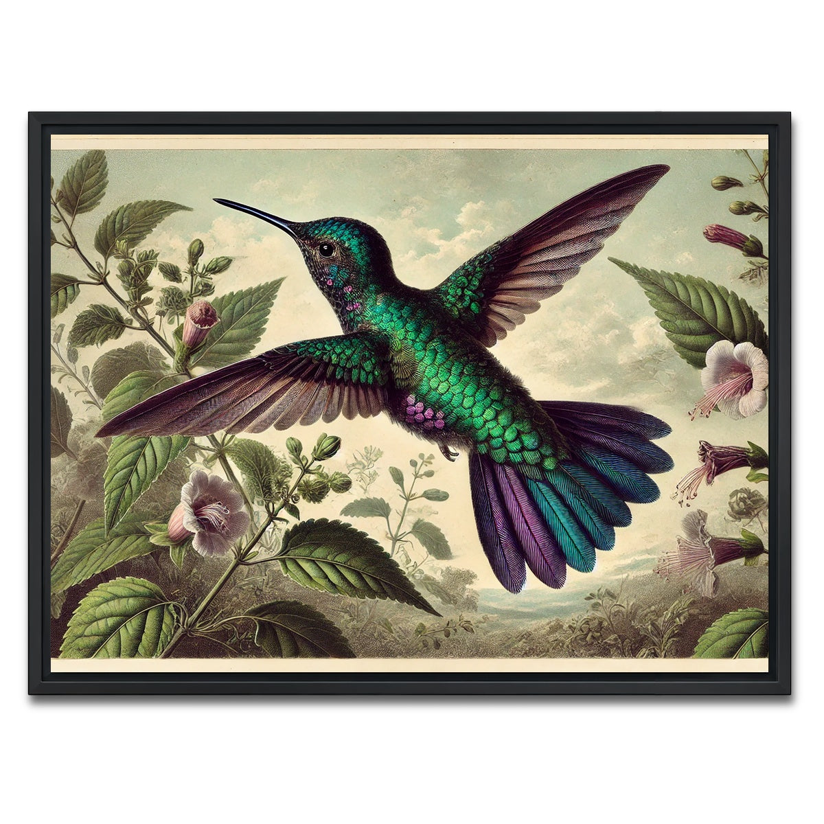 AUTO-MOCKUP WHITE | JJ Audubon's Style Hummingbird | 1 Piece | Black Framed Canvas | group=4x3