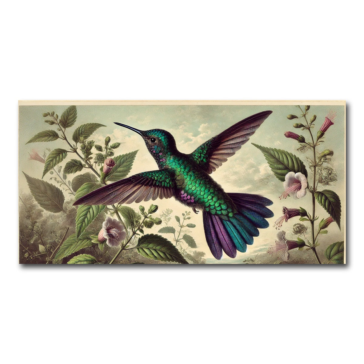 AUTO-MOCKUP WHITE | JJ Audubon's Style Hummingbird | 1 Piece | Gallery Wrap Canvas | group=2x1
