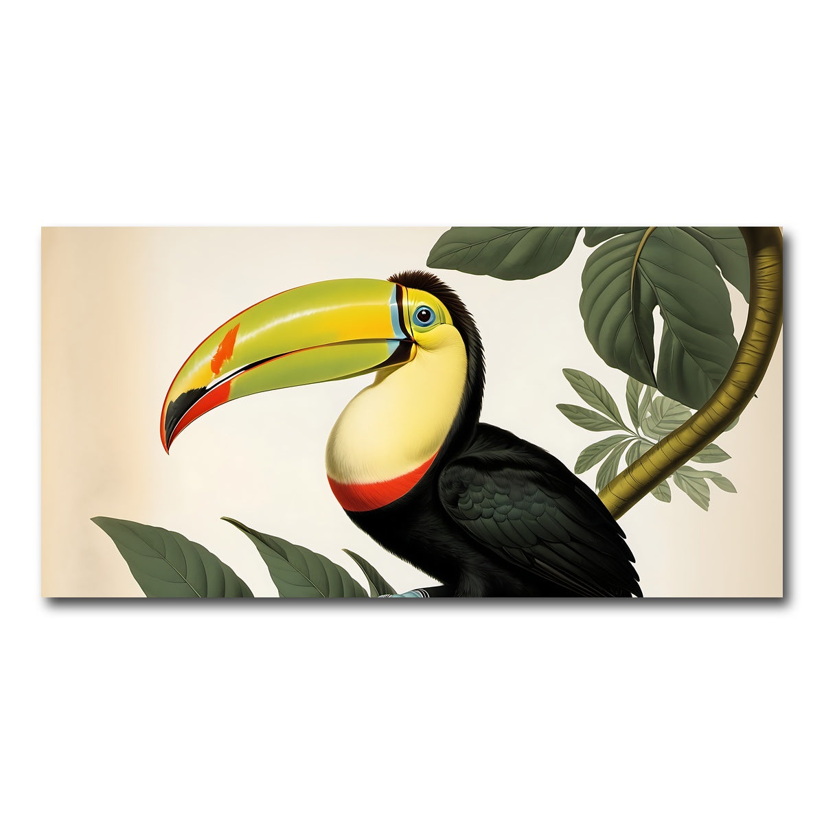AUTO-MOCKUP WHITE | JJ Audubon's Style Keel-Billed Toucan | 1 Piece | Gallery Wrap Canvas | group=2x1