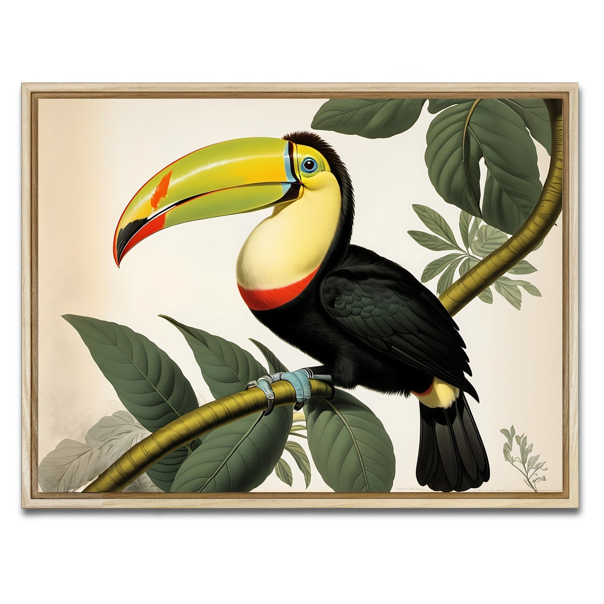 AUTO-MOCKUP WHITE | JJ Audubon's Style Keel-Billed Toucan | 1 Piece | Natural Framed Canvas | group=4x3