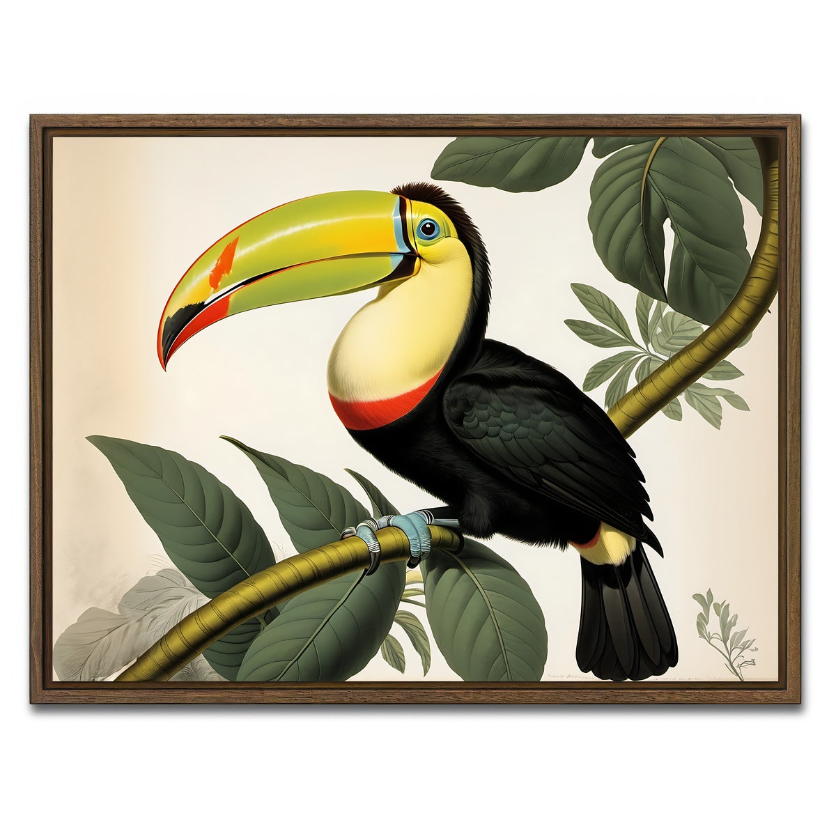 AUTO-MOCKUP WHITE | JJ Audubon's Style Keel-Billed Toucan | 1 Piece | Walnut Framed Canvas | group=4x3