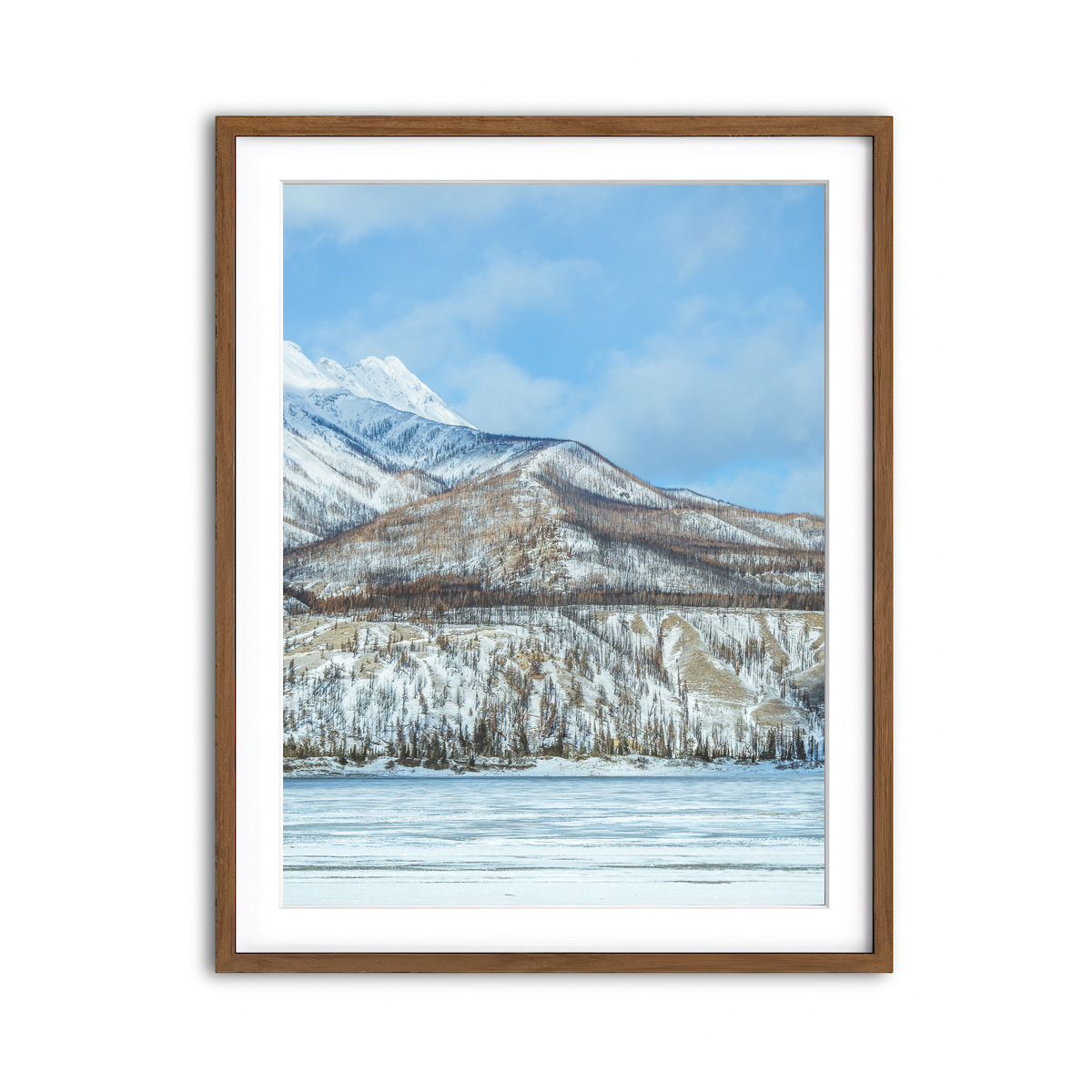 Framed Print 3x4 Walnut