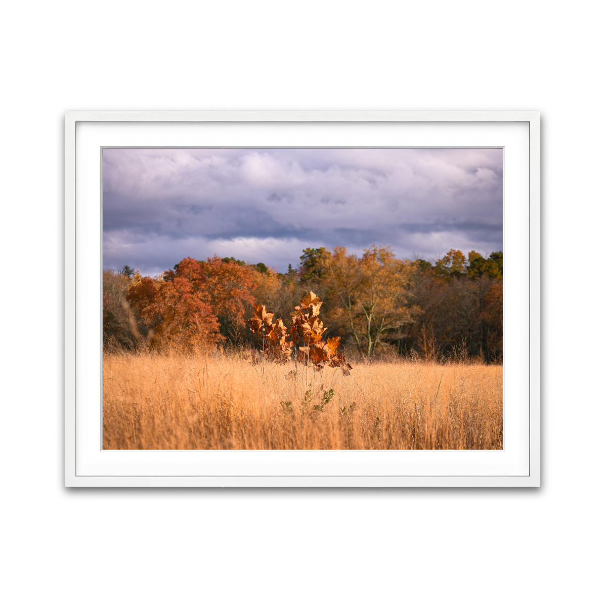 Framed Print 4x3 White
