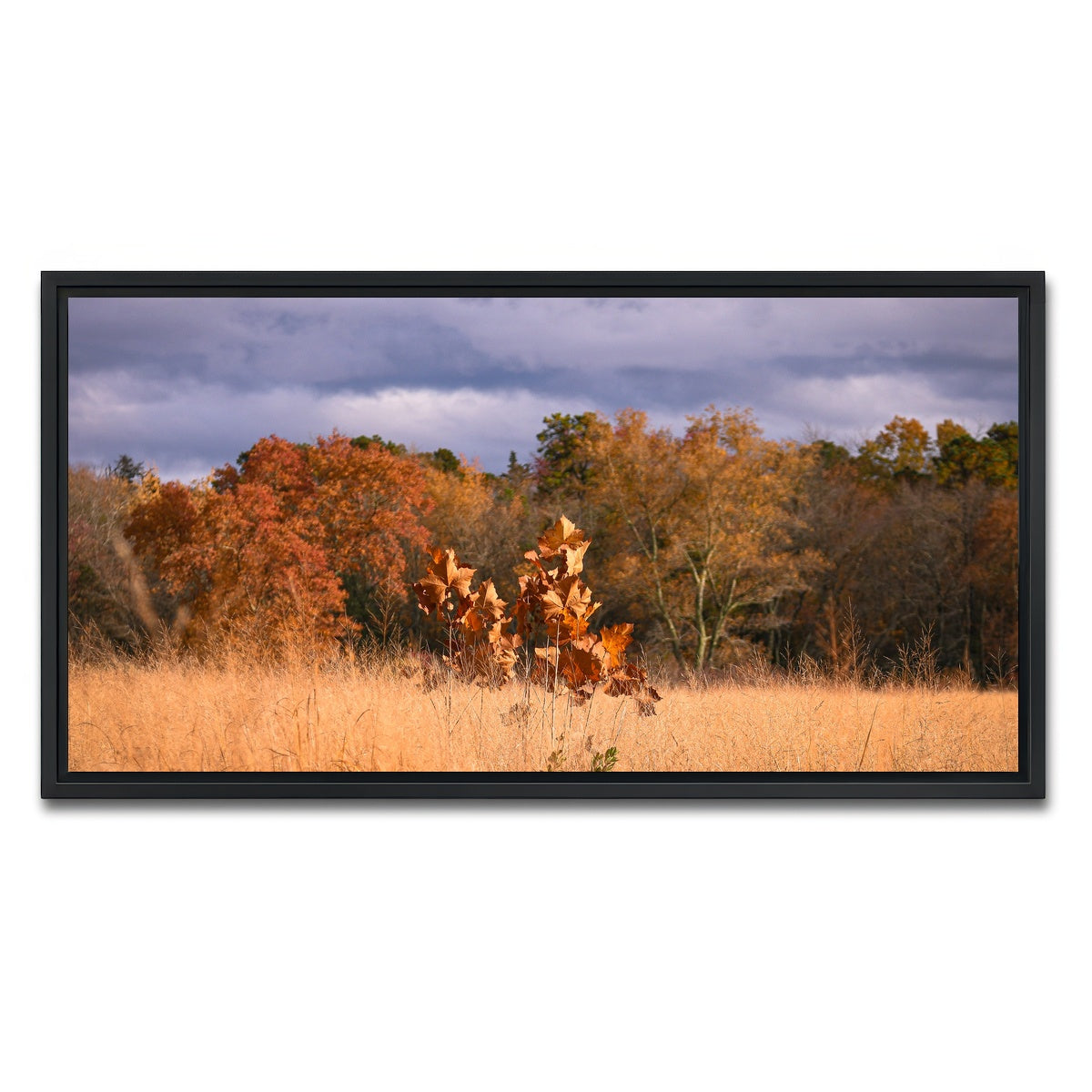 AUTO-MOCKUP WHITE | Jersey Leaves | 1 Piece | Black Framed Canvas | group=2x1