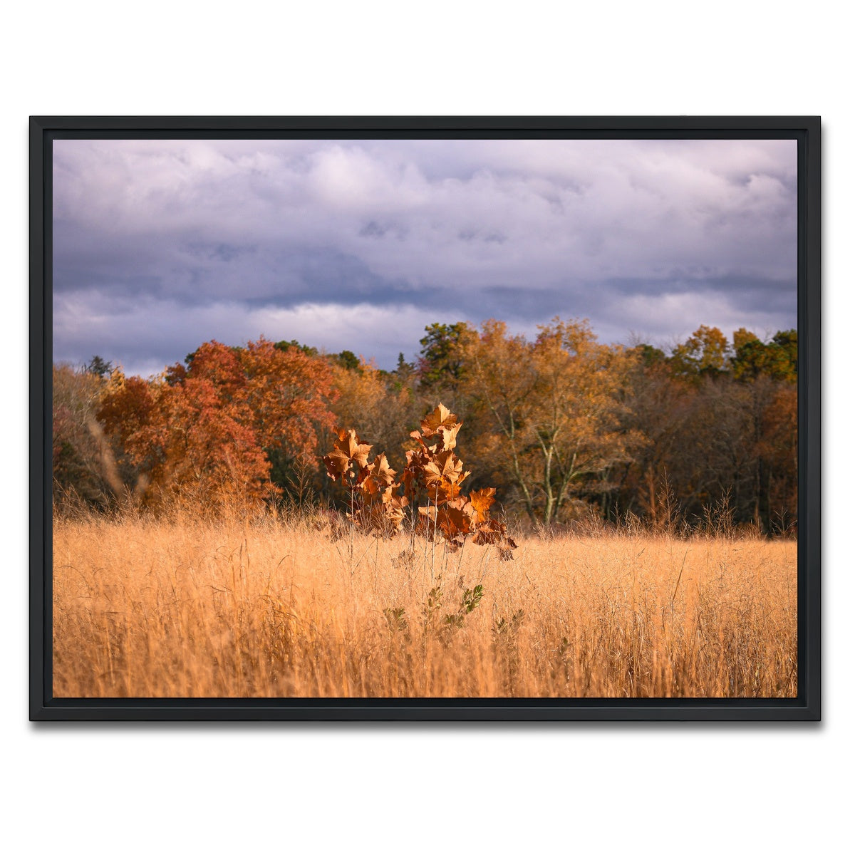 AUTO-MOCKUP WHITE | Jersey Leaves | 1 Piece | Black Framed Canvas | group=4x3
