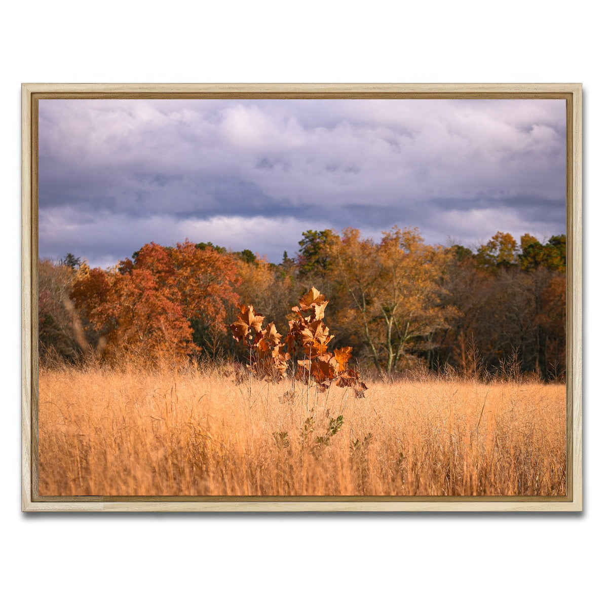 AUTO-MOCKUP WHITE | Jersey Leaves | 1 Piece | Natural Framed Canvas | group=4x3