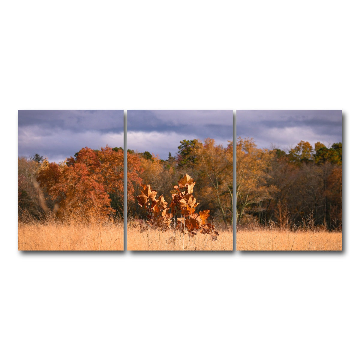 AUTO-MOCKUP WHITE | Jersey Leaves | 3 Piece | Gallery Wrap Canvas | group=18x24