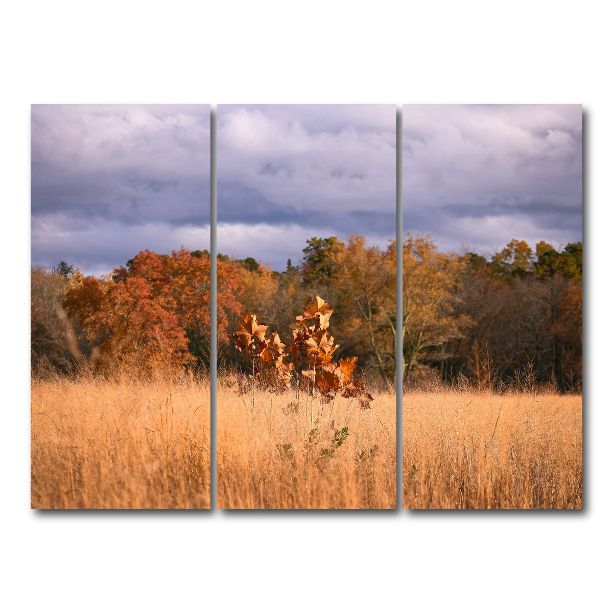 AUTO-MOCKUP WHITE | Jersey Leaves | 3 Piece | Gallery Wrap Canvas | group=8x18