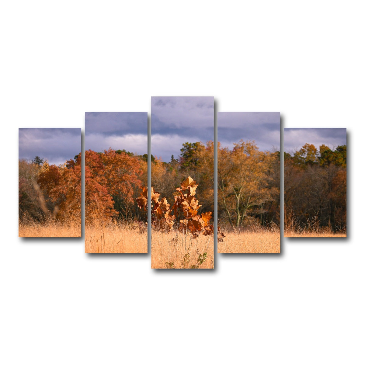 AUTO-MOCKUP WHITE | Jersey Leaves | 5 Piece | Gallery Wrap Canvas | group=5_normal