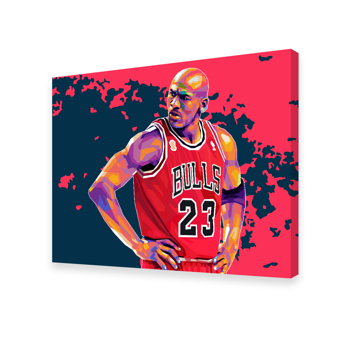 Jordan 23 Wall Art