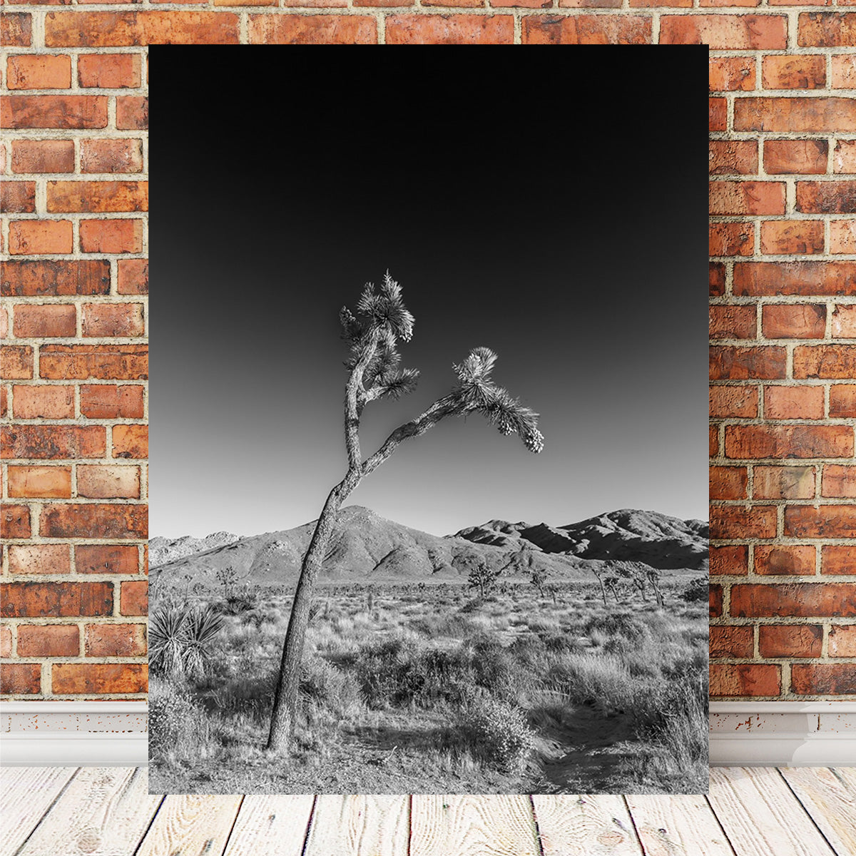 Joshua Tree Wall Art