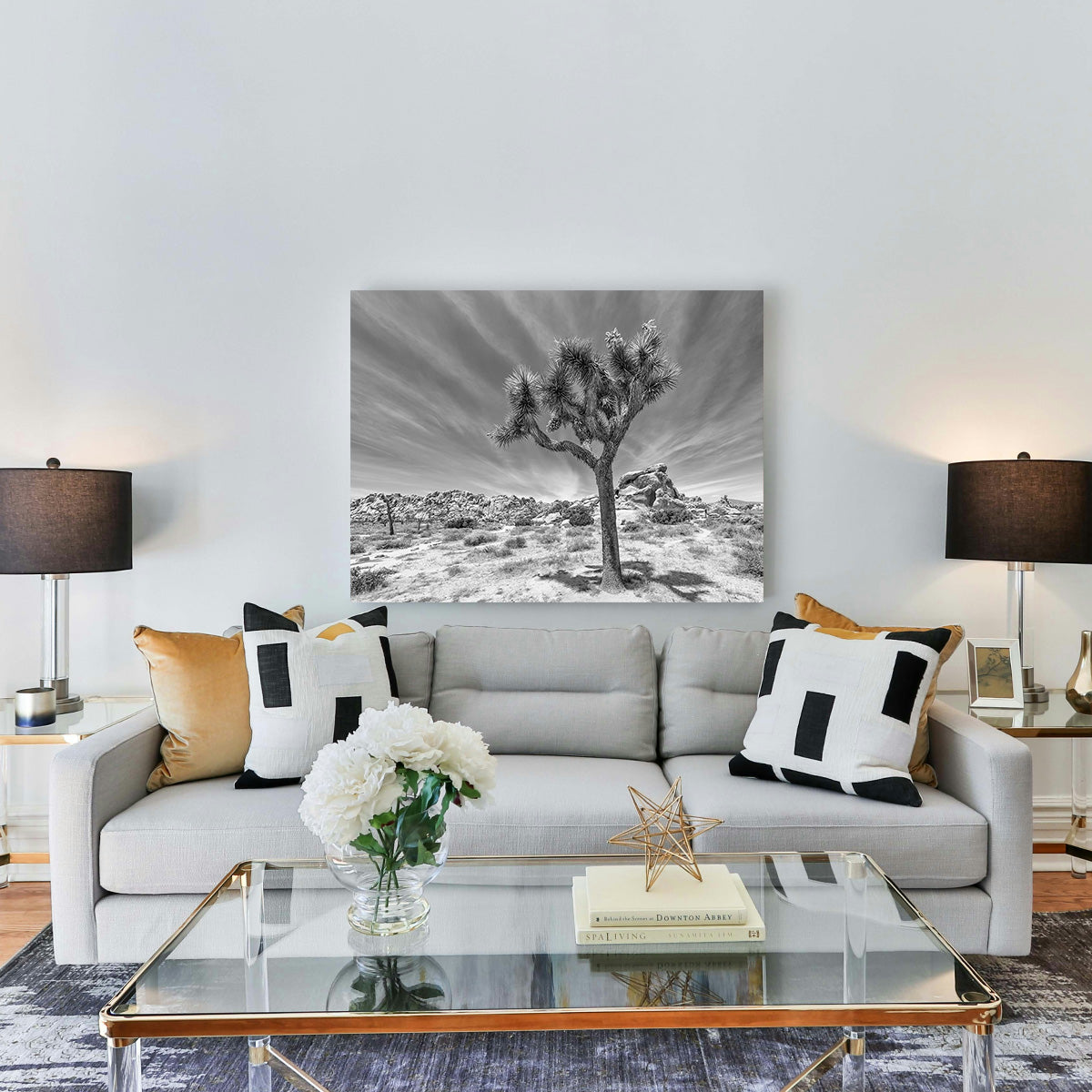 Joshua Tree National Park Inspirational Monochrome Wall Art