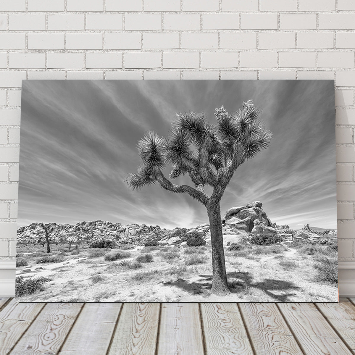 Joshua Tree National Park Inspirational Monochrome Wall Art