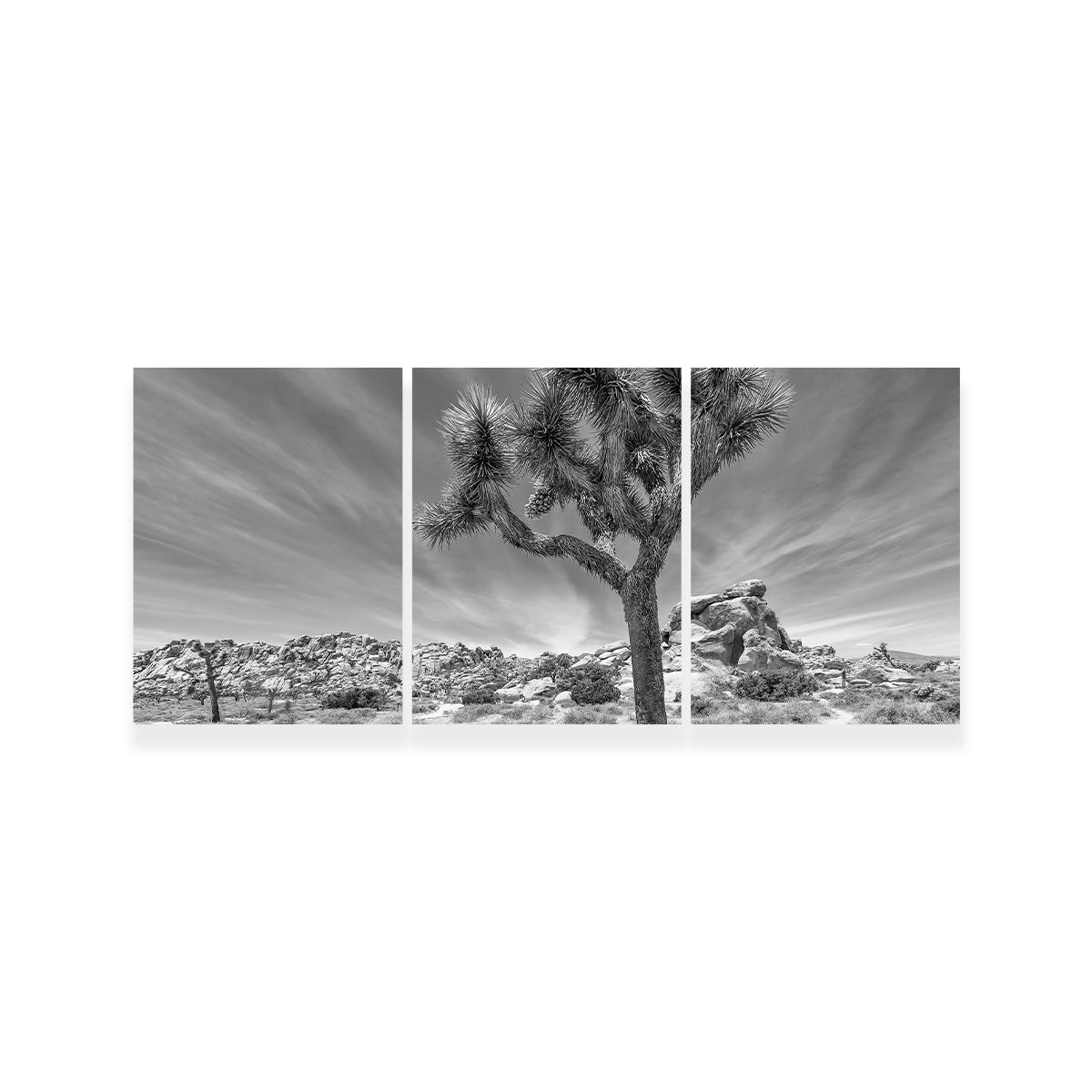 Joshua Tree National Park Inspirational Monochrome Wall Art