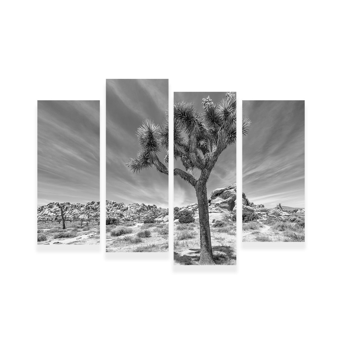 Joshua Tree National Park Inspirational Monochrome Wall Art