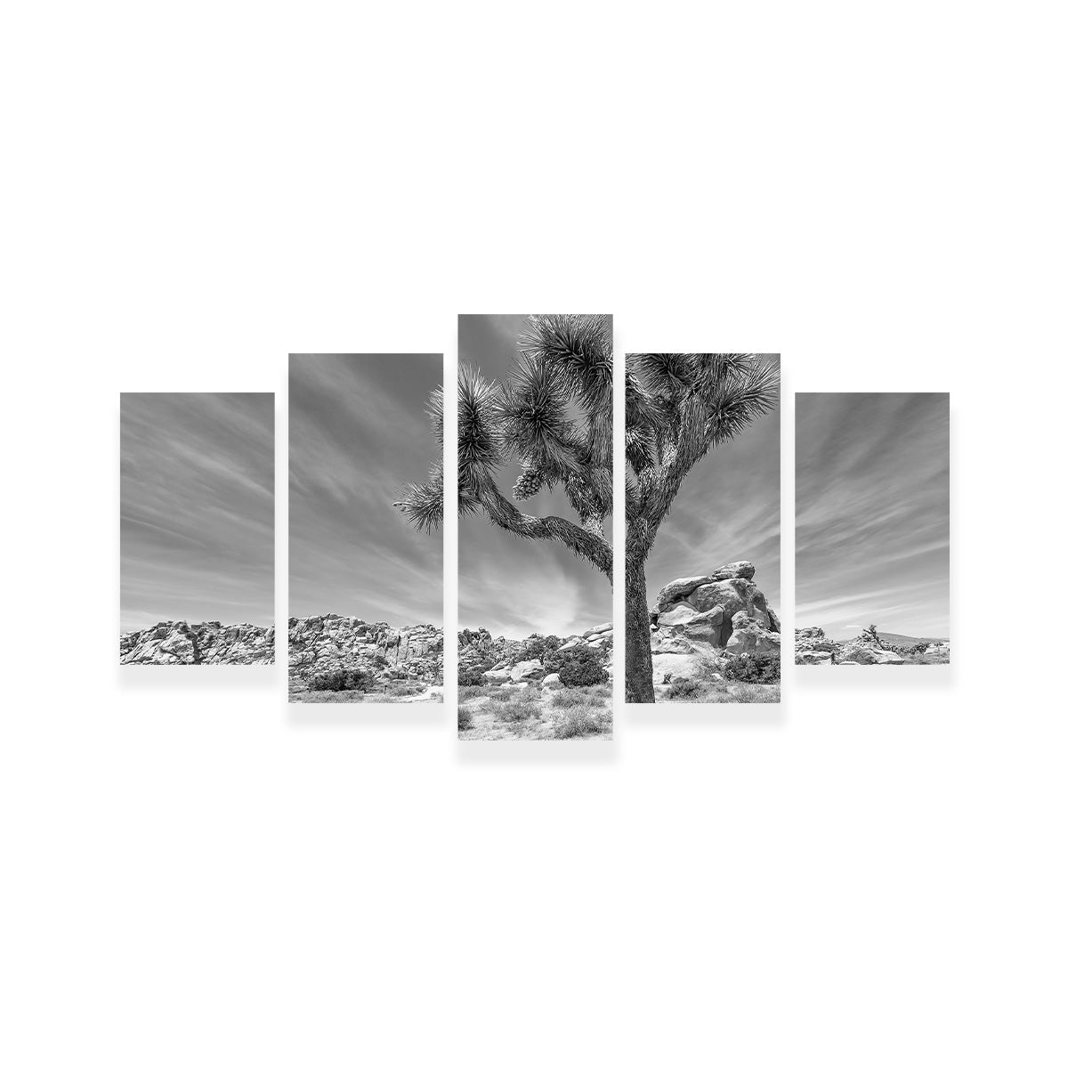 Joshua Tree National Park Inspirational Monochrome Wall Art