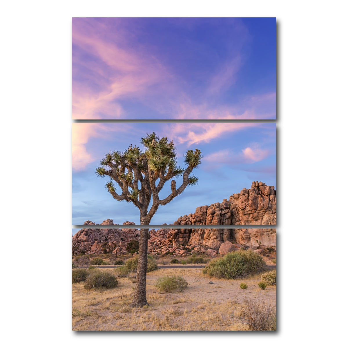 AUTO-MOCKUP WHITE | Joshua Tree Evening Atmosphere | 3 Piece | Gallery Wrap Canvas | group=12x24_stacked