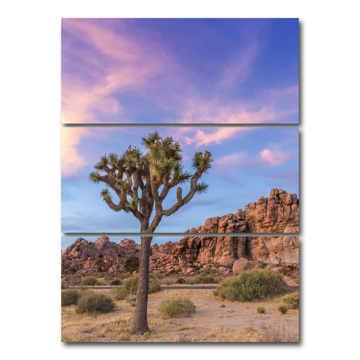 AUTO-MOCKUP WHITE | Joshua Tree Evening Atmosphere | 3 Piece | Gallery Wrap Canvas | group=8x18_stacked
