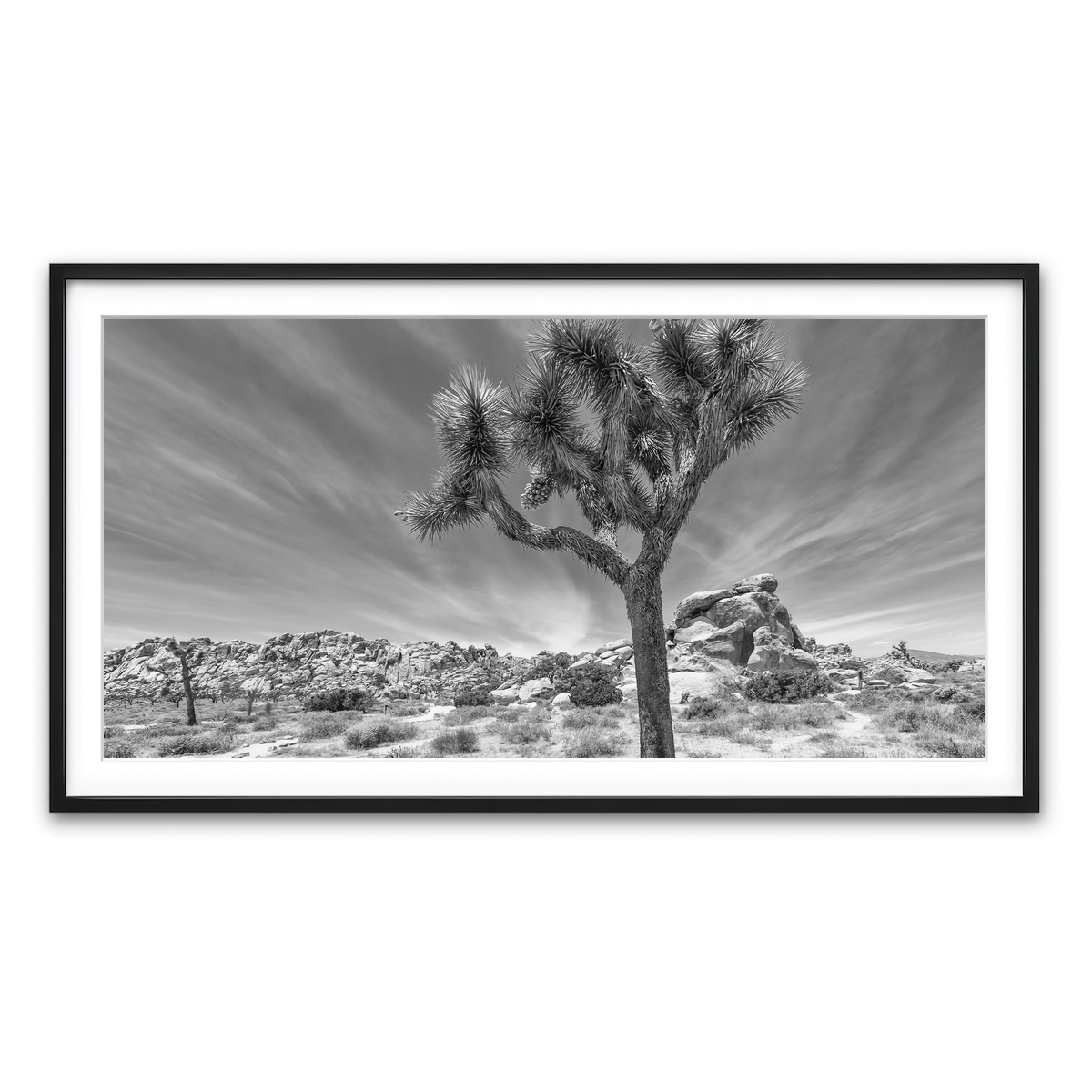 Framed Print 2x1 Black