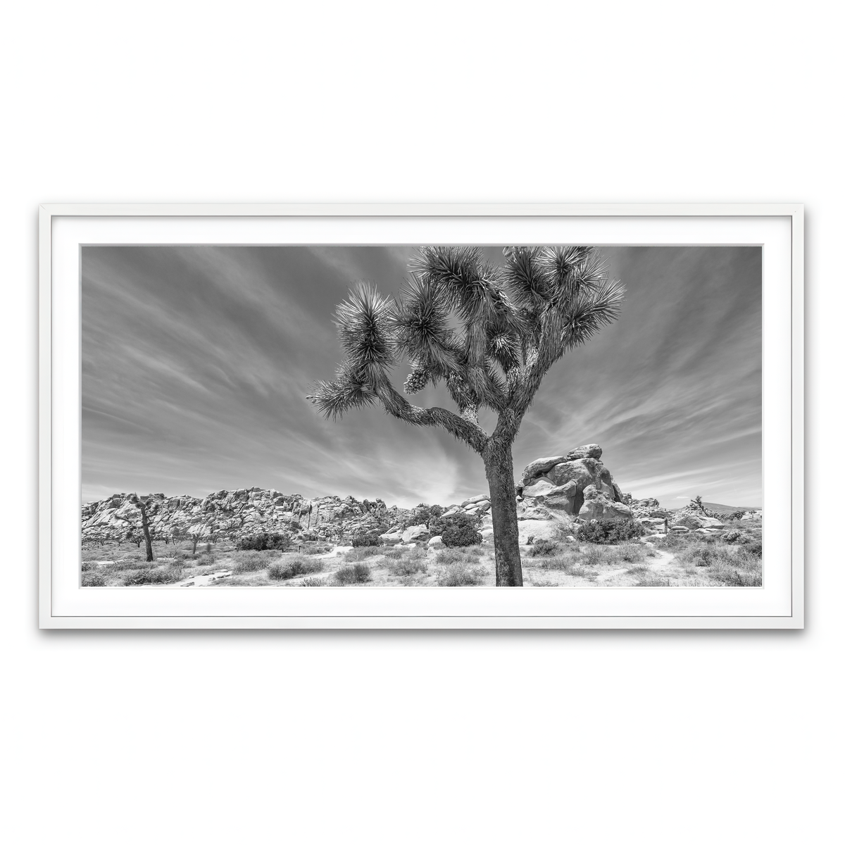 Framed Print 2x1 White