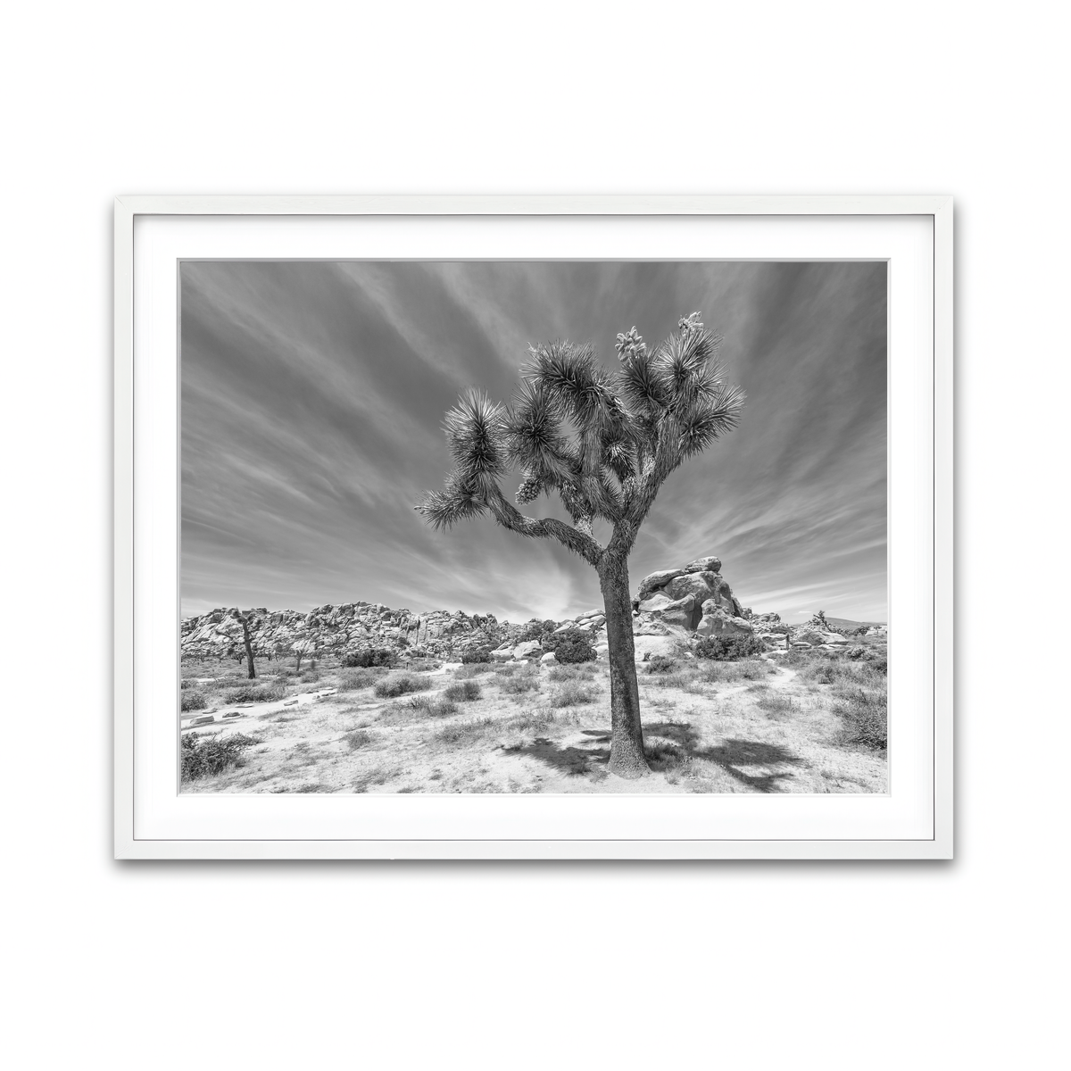 Framed Print 4x3 White