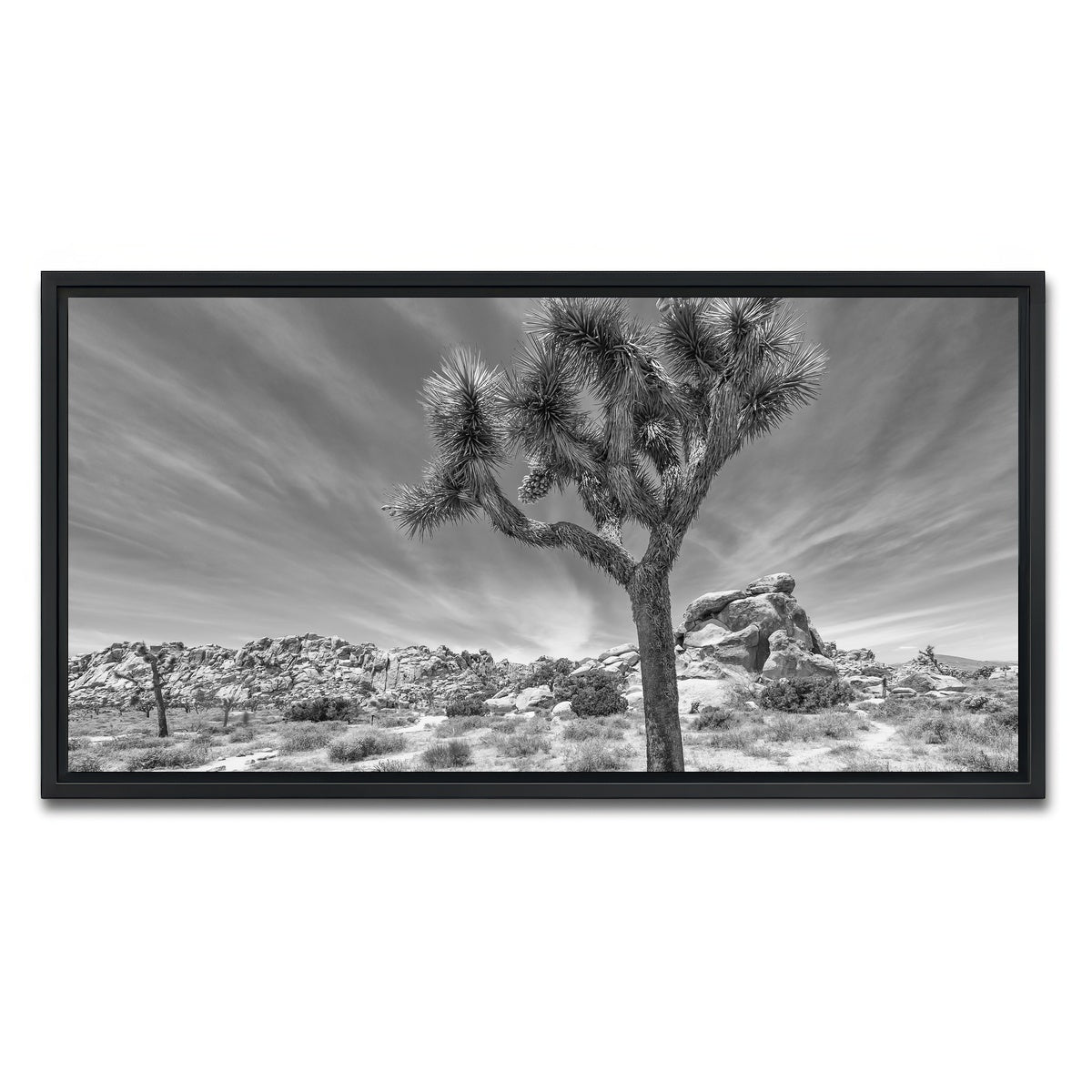 AUTO-MOCKUP WHITE | Joshua Tree National Park Inspirational Monochrome | 1 Piece | Black Framed Canvas | group=2x1