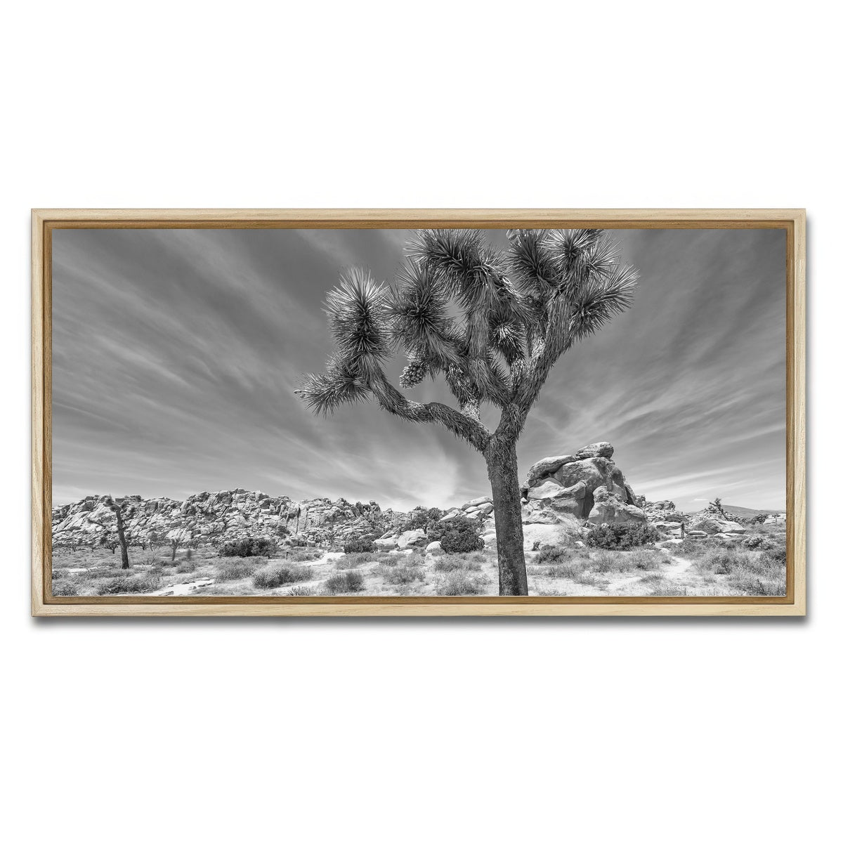 AUTO-MOCKUP WHITE | Joshua Tree National Park Inspirational Monochrome | 1 Piece | Natural Framed Canvas | group=2x1